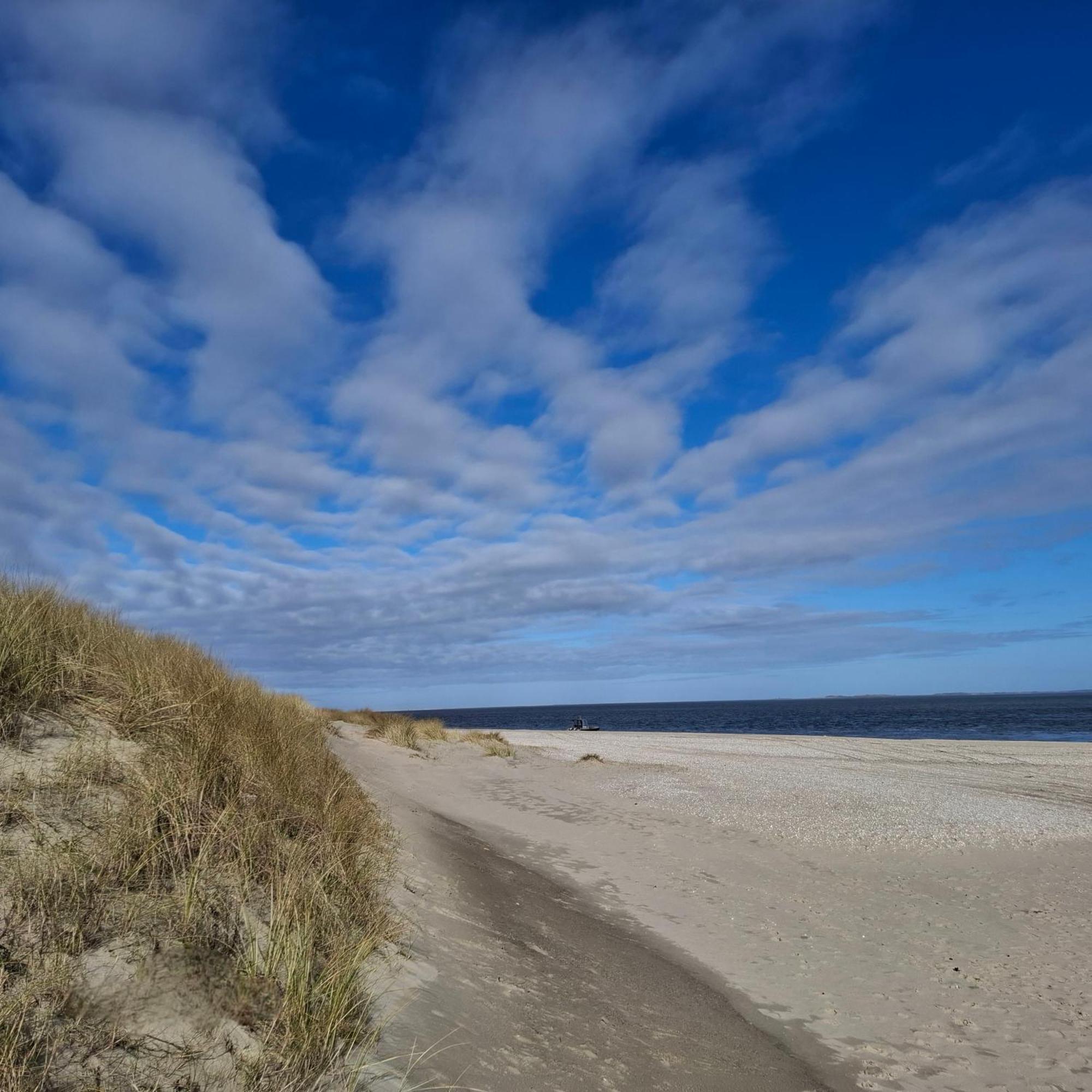 Private Logies Texel Woodart Midden-Eierland Eksteriør bilde